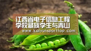 江西省电子信息工程学校藏族学生与青山湖区上坊路社区“爱心妈妈”共庆党的十八大胜利召开:开云赛程(图1) 开云赛程